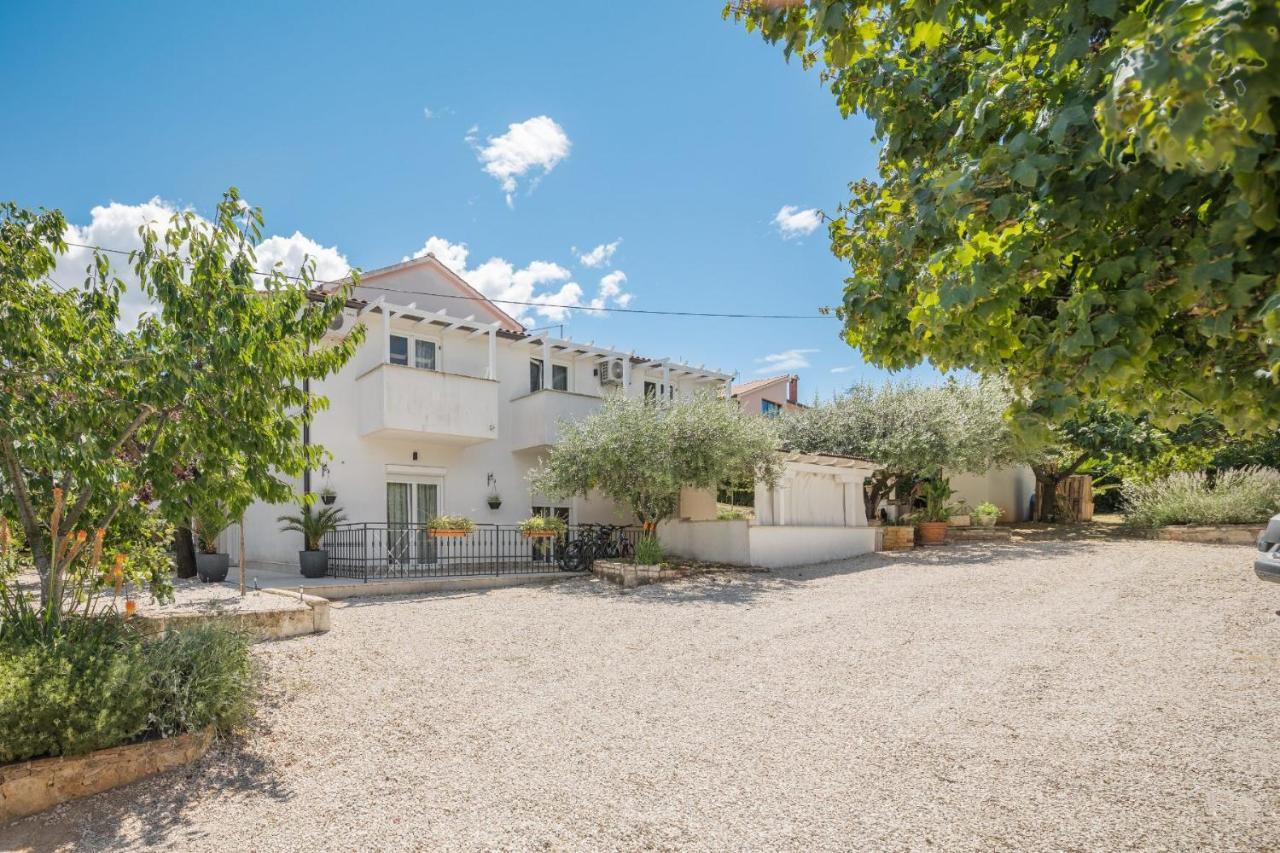 פורץ Martina Guest House מראה חיצוני תמונה